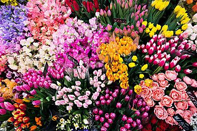 科幻恐怖游戏《索利斯堡》北美PS5实体版公布